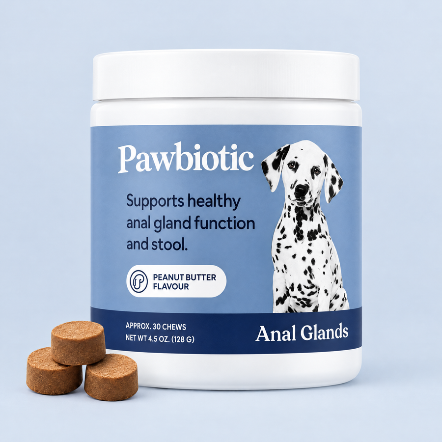 A jar of Pawbiotic soft chews with three chews beside it