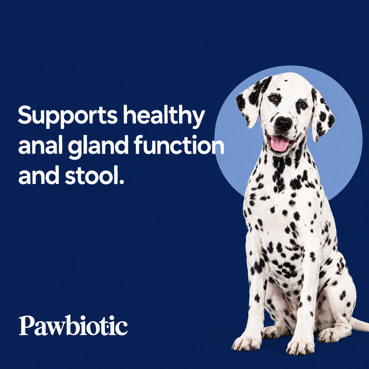 Supports healthy anal gland function and stool