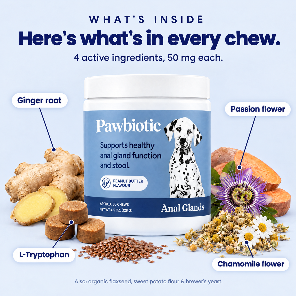What's inside every Pawbiotic chew: ginger root, chamomile flower, passion flower and L-tryptophan, 50 mg each, plus flaxseed, sweet potato flour and brewer's yeast
